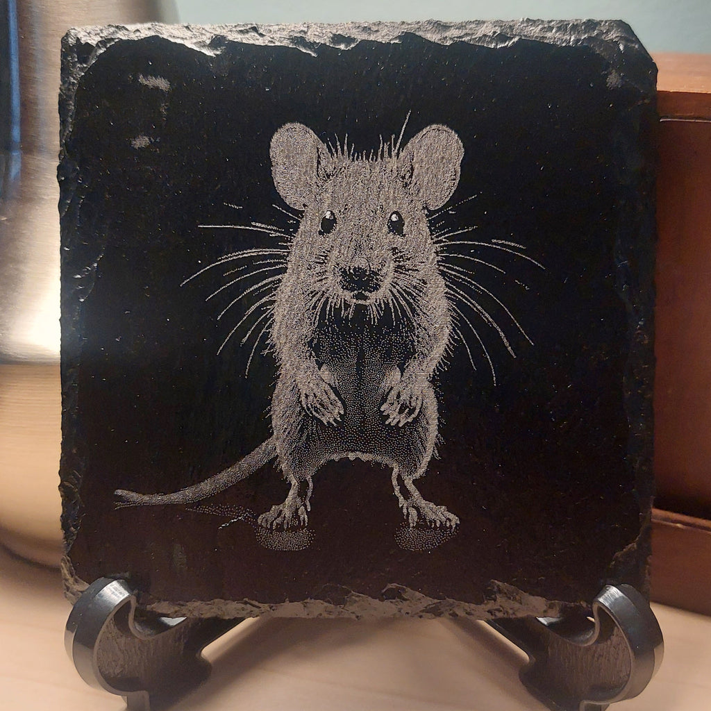 Laser Engraved Slate Coaster - The Lost Mouse * - Home Decor