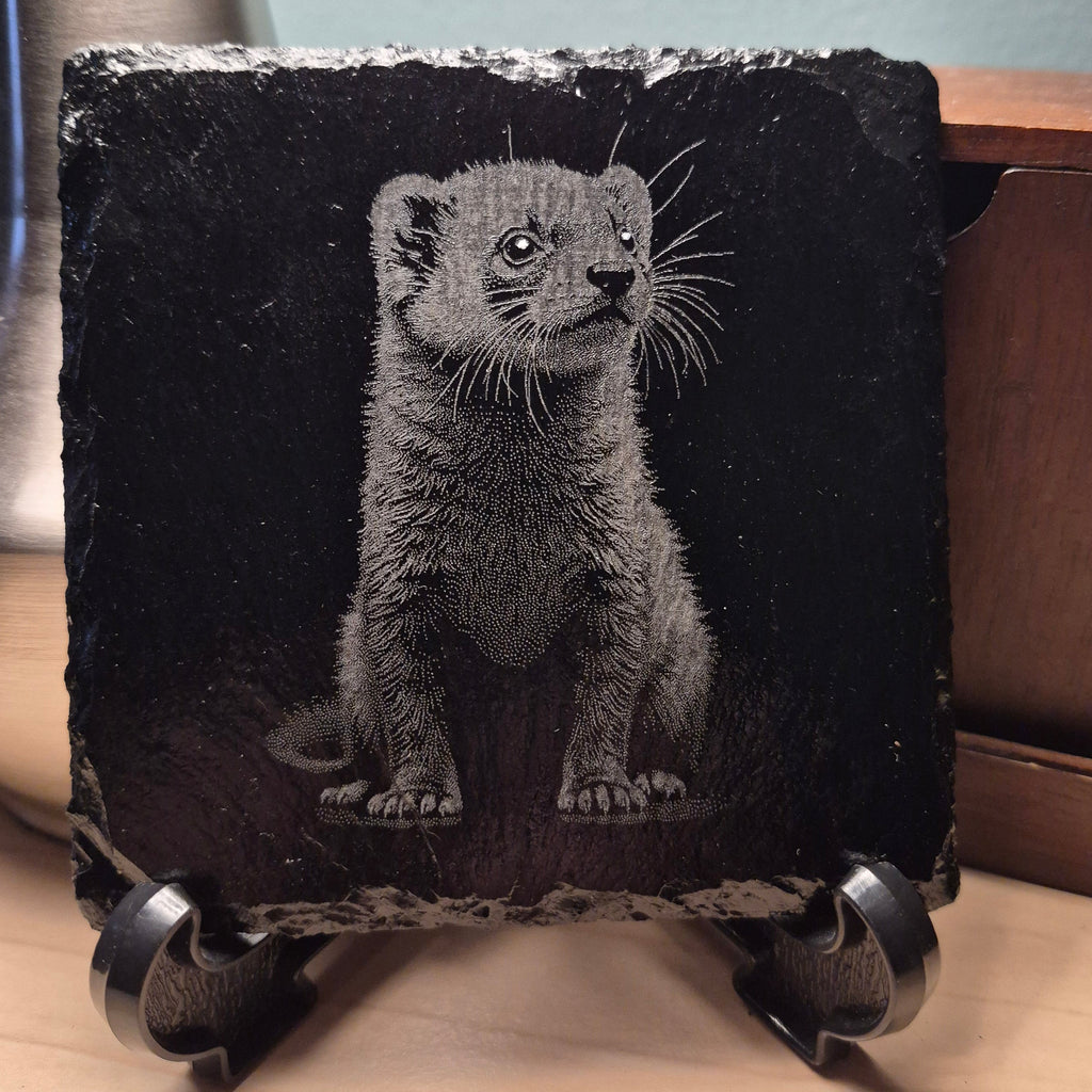 Laser Engraved Slate Coaster - Ferret #2 * - Home Decor